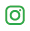 Instagram Icon